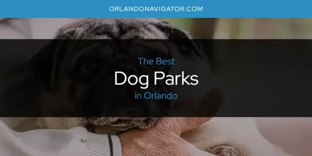 The Absolute Best Dog Parks in Orlando  [Updated 2024]