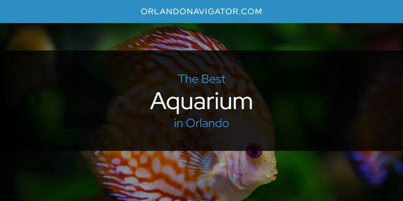 The Absolute Best Aquarium in Orlando  [Updated 2024]