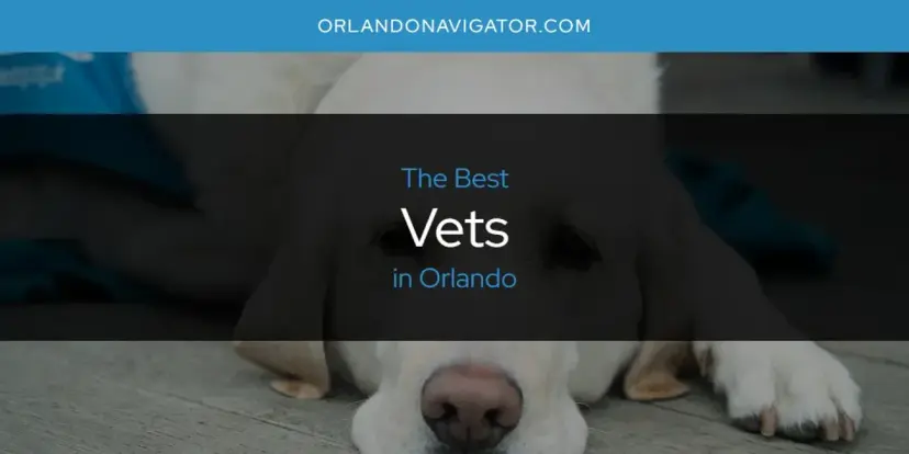 Orlando's Best Vets [Updated 2024]